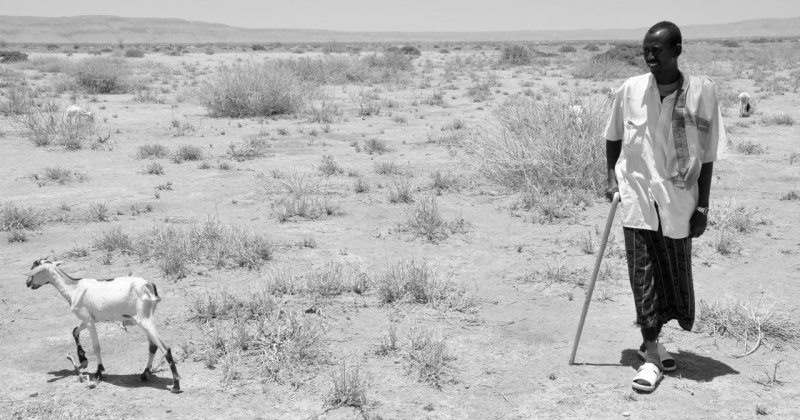 Somali'de kuraklık 6.5 milyon insanın hayatını tehdit ediyor