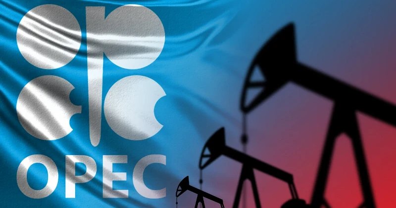 Birleşik Arap Emirlikleri OPEC'ten ayrılacağını açıkladı