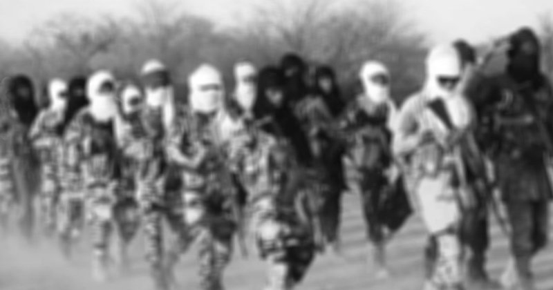 CNİM Mali'nin başkenti Bamako'yu abluka altına aldı