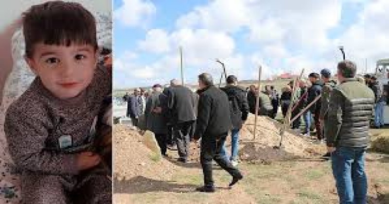 Başıboş köpek sorunu ve geciken çözüm iradesi