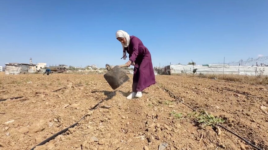 Gazzeli genç kadın babasından miras kalan toprağı ayakta tutuyor