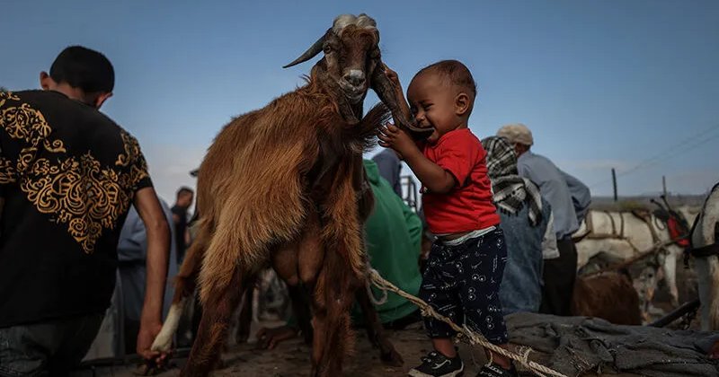 Kurbanlaştırılanlar ve kurban olmayı seçenler