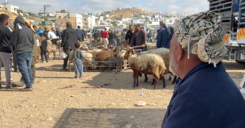 Siyonistlerin hayvan hırsızlığı ve mera gaspı Batı Şeria'da kurban pazarlarını vurdu