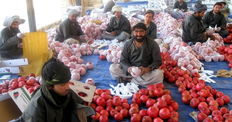Afganistan’ın Orta Asya ile ticaret hacmi 1,27 milyar doları aştı
