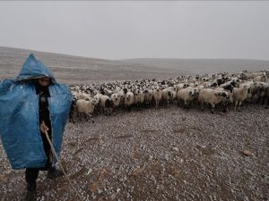 Göçerlerin Hayatı PKK’nın Saldırıları İle Daha Zorlaştı