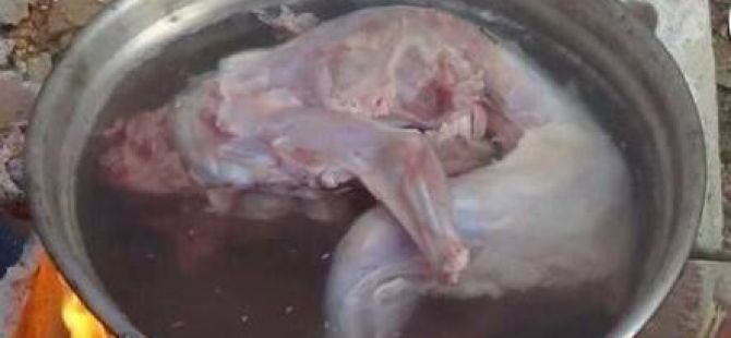 Kıtlıktan Kedi Pişirip Yiyorlar