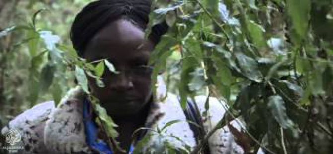 Kenya'nın Ölüm Mangaları