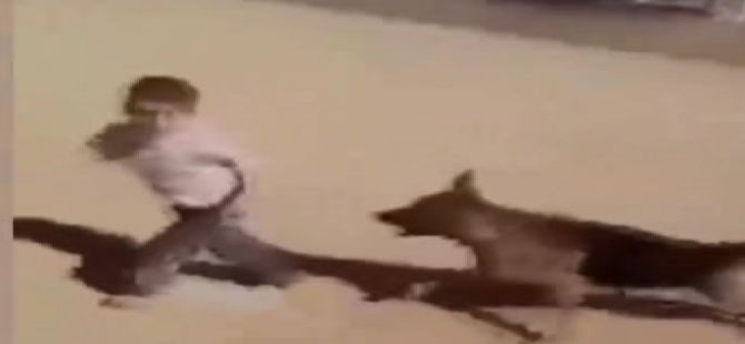 Siyonist Canilerden Bir Alçaklık Daha