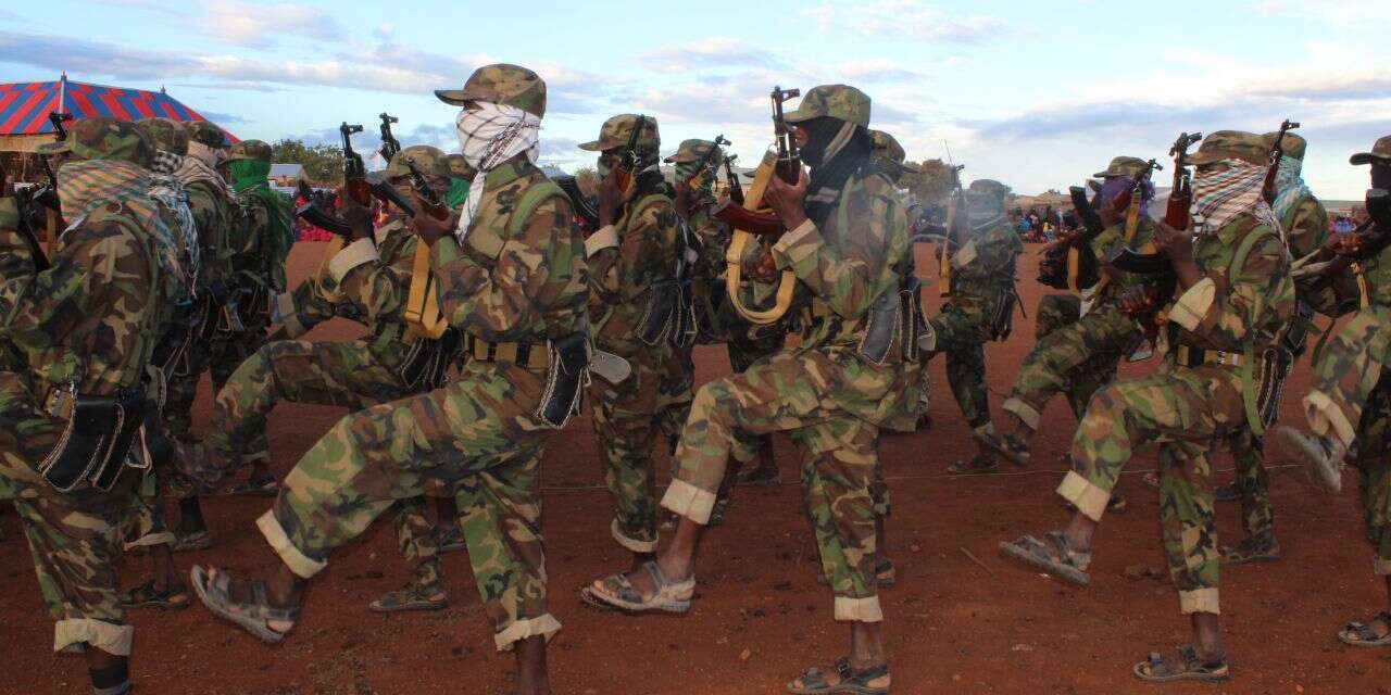 Somali'de Eş Şebab bir yerleşimi ele geçirdi