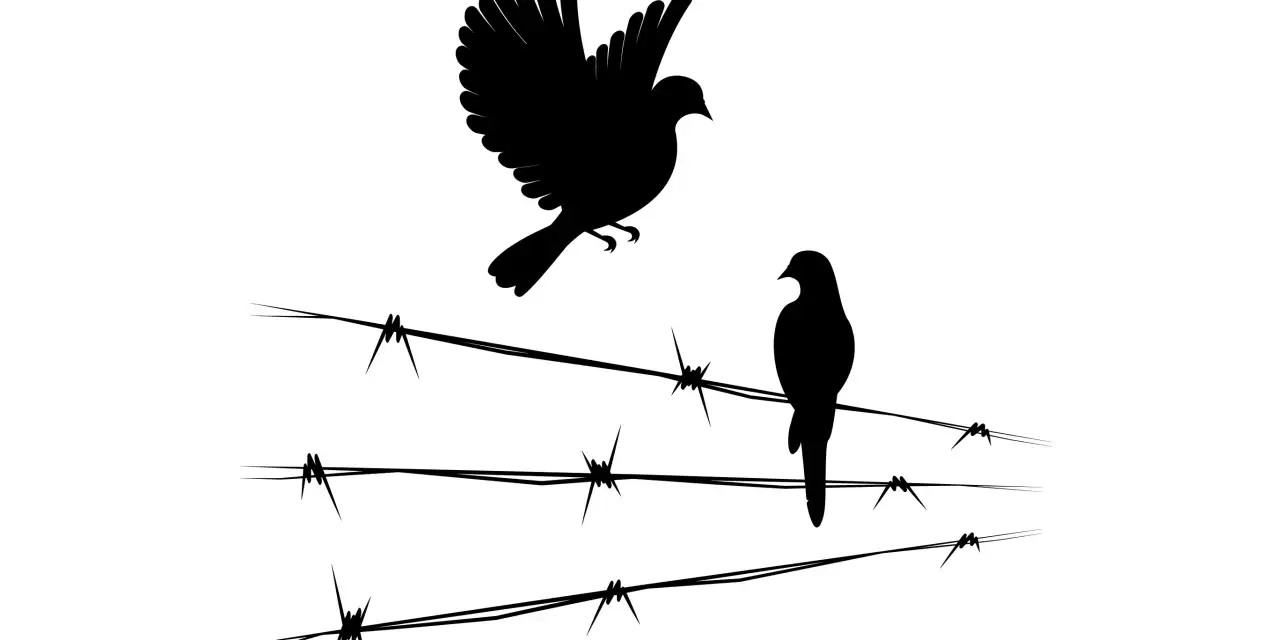Barışı herkes istiyorsa, savaş neden bitmiyor?