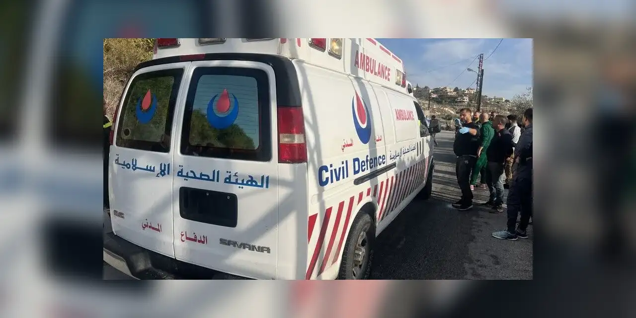 İşgalci İsrail ordusu Lübnan'ın güneyine İHA saldırıları düzenledi