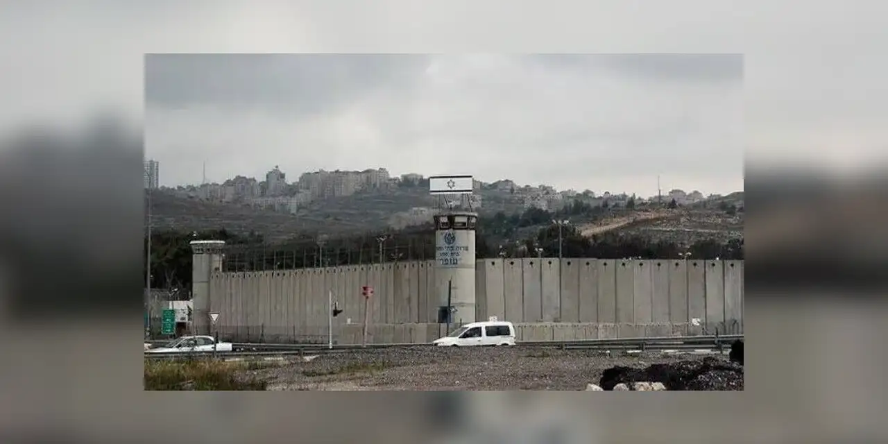 İsrail hapishanesinde Filistinli kadın tutuklular arasında uyuz "tıbbi ihmal nedeniyle" yayılıyor