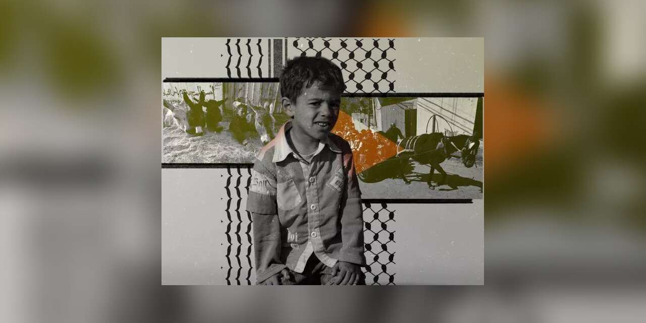 Hayvanları yücelten Batı, Filistinlilerin hayatını değersizleştiriliyor