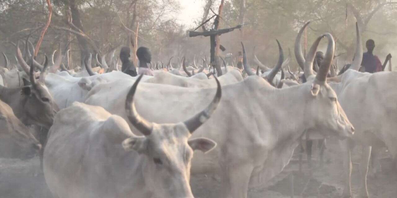 Güney Sudan'da bir çiftliğe yönelik saldırıda 49 sivil hayatını kaybetti
