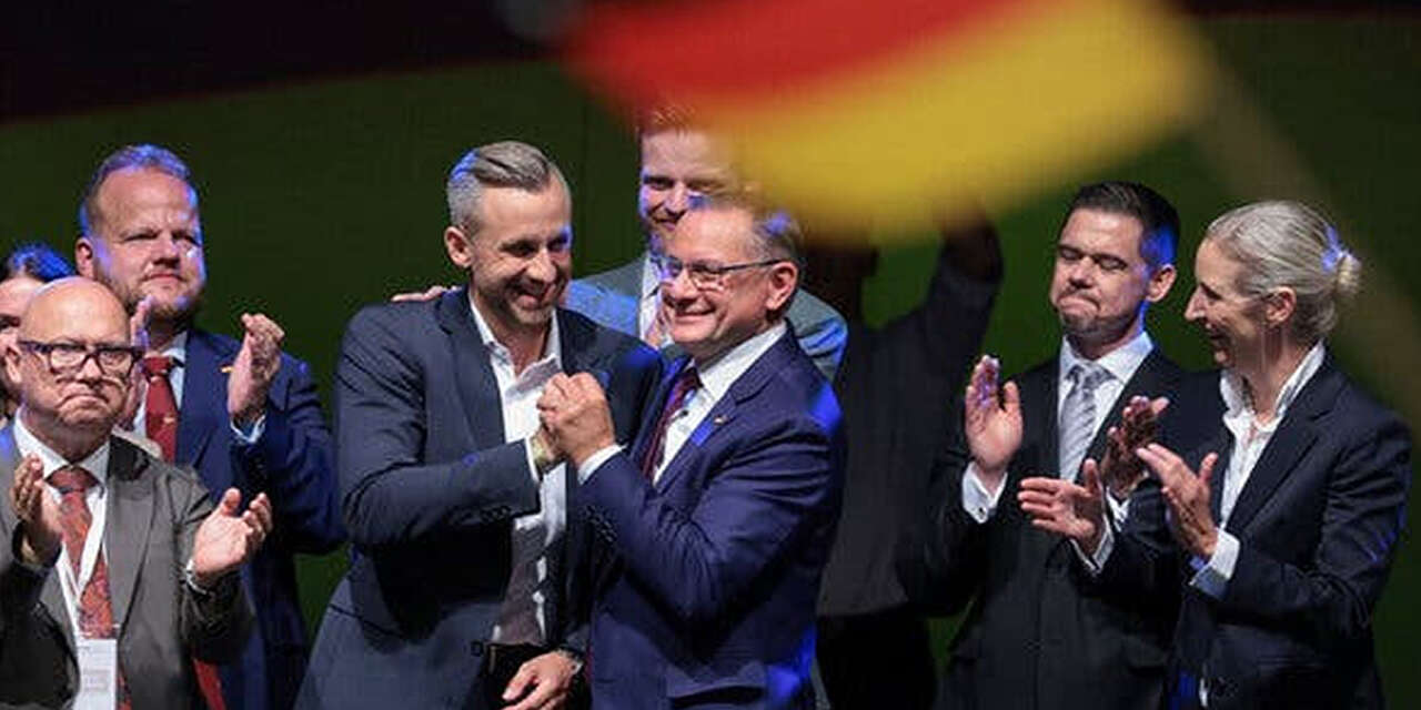 Almanya'da ırkçı AfD, kritik eyalet seçiminde çoğunluğu az farkla kaçırdı