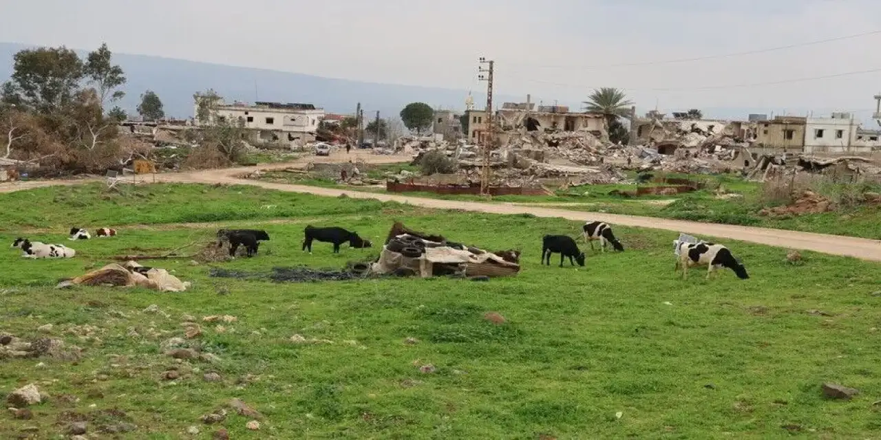 Lübnan Tarım Bakanı, İsrail'in ülkenin güneyinde 56 bin hektarlık tarım arazisine zarar verdiğini söyledi