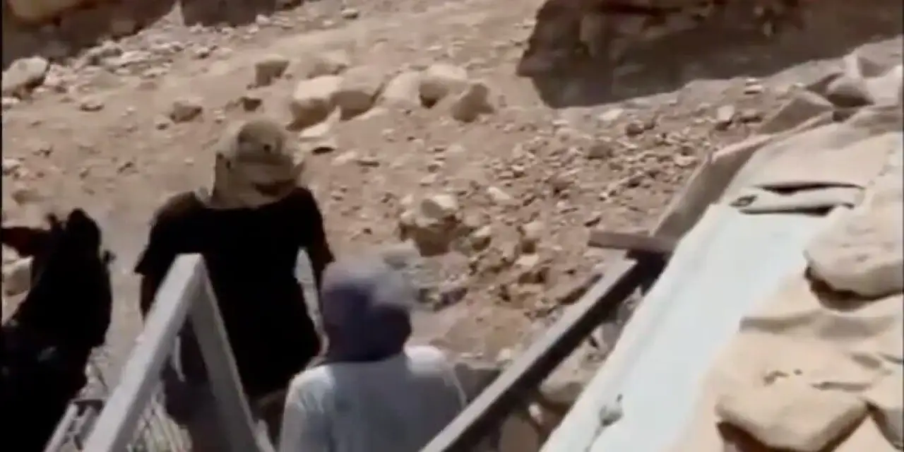 Aşağılık Siyonist Batı Şeria'da Filistinli bir kadını sopayla darbetti