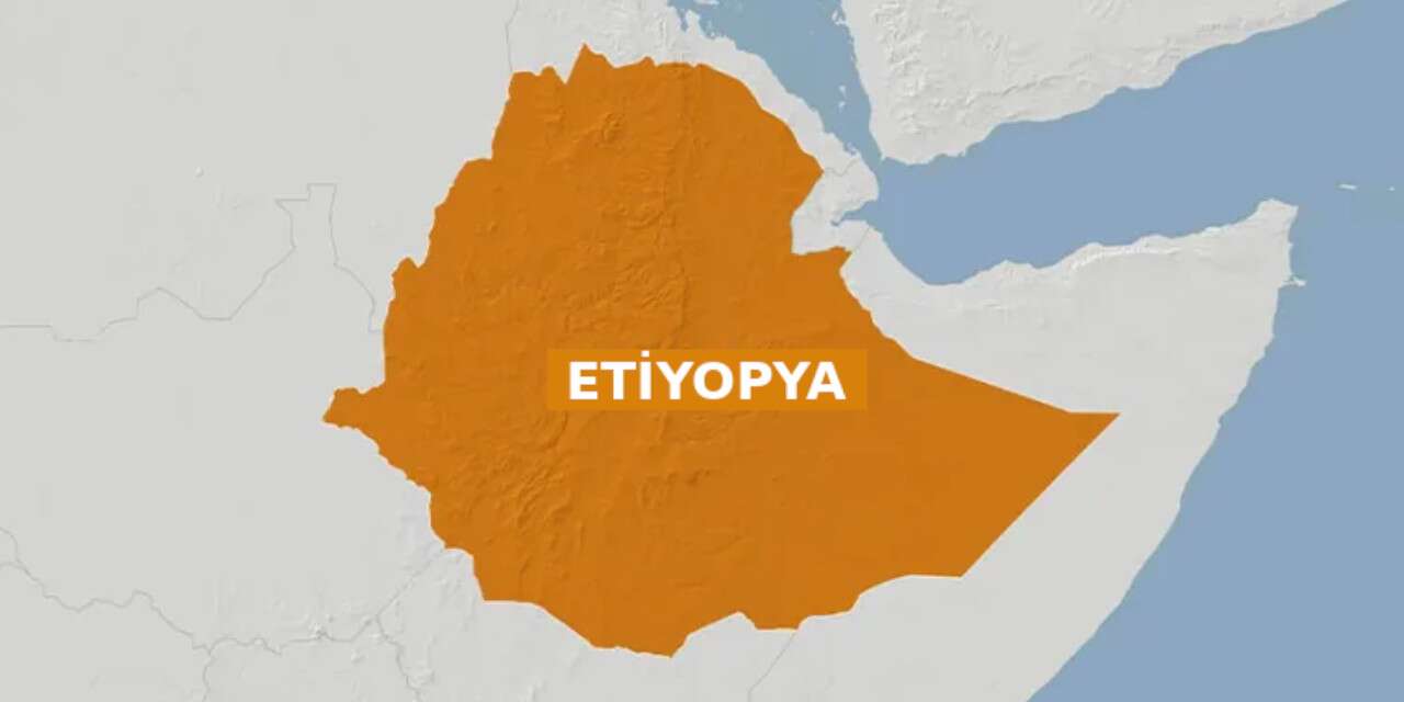 Etiyopya'da yedi silahlı grup hükümeti devirmek için ittifak kurdu