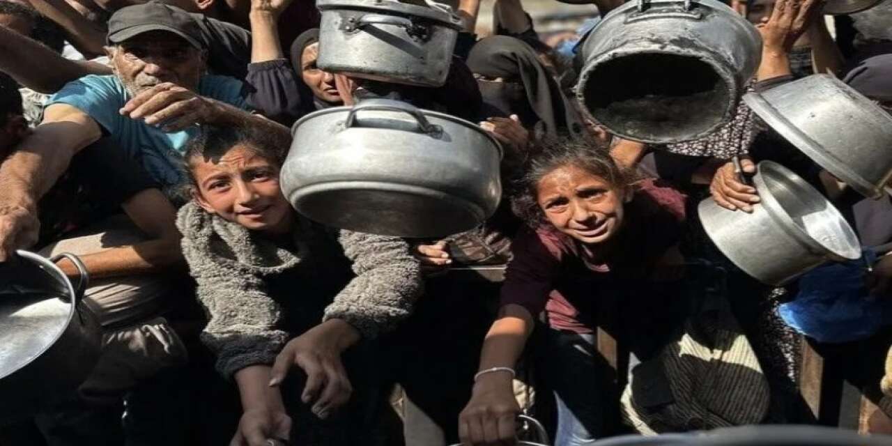Dünya Gıda Programı: Gazze'deki açlık 'kabul edilemez'