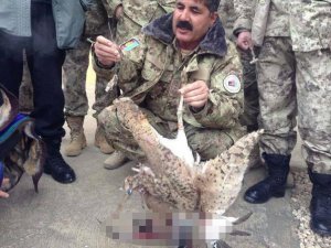 Taliban'ın Kuş Bombası Yalan Çıktı!