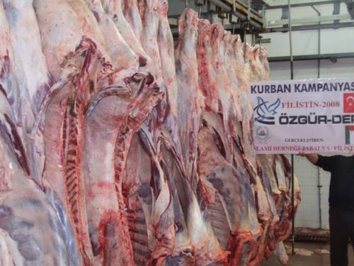 Kurbanlarımızla Gazzeli Kardeşlerimizin Yanındaydık!