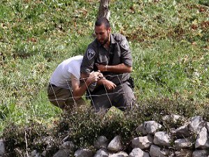 İsrail Güçleri 20 Filistinliyi Gözaltına Aldı
