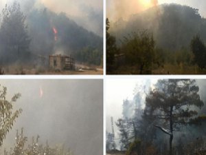 Rejimin Bombaladığı Türkmen Dağında Yangın
