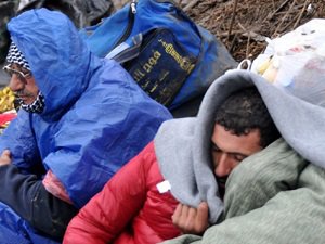 Sığınmacılar Soğutuculu Kamyonda Ölümden Döndü
