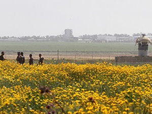 Filistin Toprak Günü'nde Bir Günlük Grev