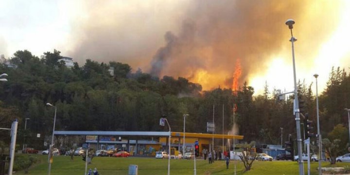 Filistinli Gruplardan İsrail'e Yangın Tepkisi