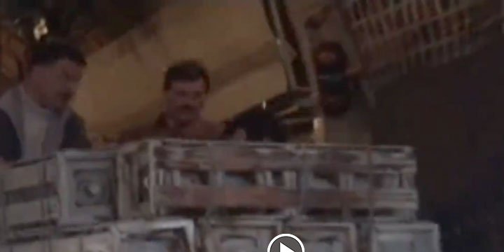 Halepliyi Öldüren Esed, Rojavalıyı Neden Yaşatır?
