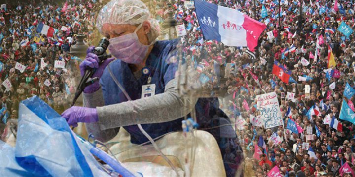 Fransa'da Tartışmaya Yol Açan Organ Yasası