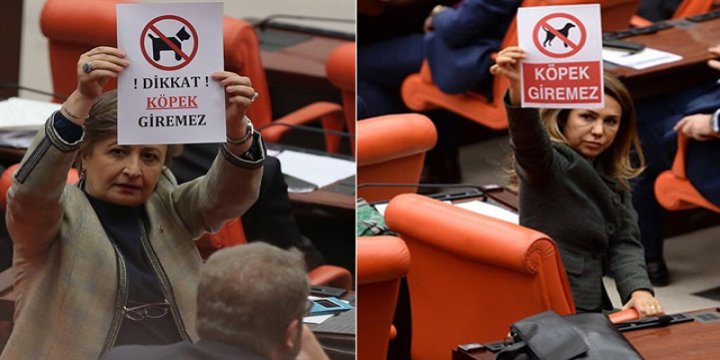 AK Partililerden CHP'ye 'Dikkat Köpek Giremez' Afişi