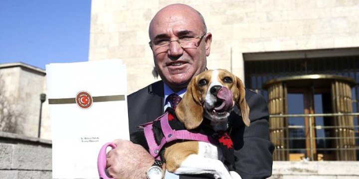 CHP’li Mahmut Tanal'ın Klasik Provokasyonu