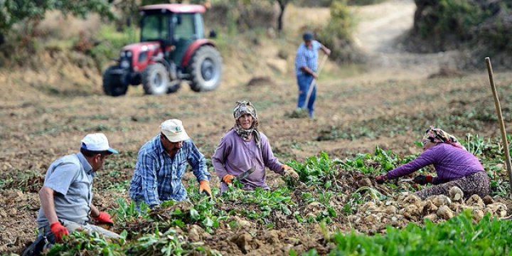 Türkiye Nüfusunun Sadece Yüzde 8'i Köyde Yaşıyor
