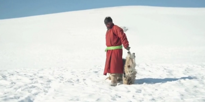 Moğolistan’da Zorlu Kış: Acil Yardım Çağrısı Yapıldı