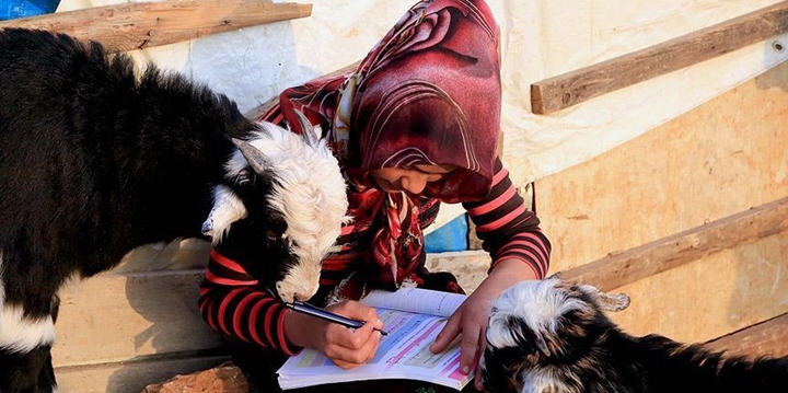 Yörük Çocuklarının Zorlu Okul Yolculuğu