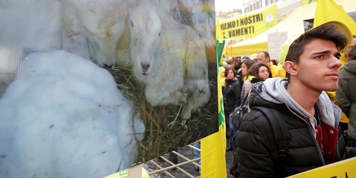 İtalya’da Depremzede Çiftçiler Hükümeti Protesto Etti