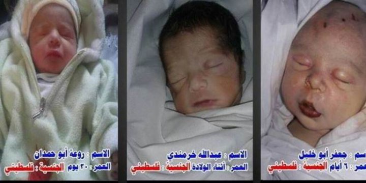 Esed’in Tedavilerine İzin Vermediği Filistinli 3 Bebek Öldü