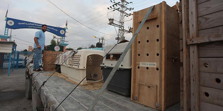 Beyt Hanun Sınır Kapısı'ndan İsrail'e Geçişler Durduruldu