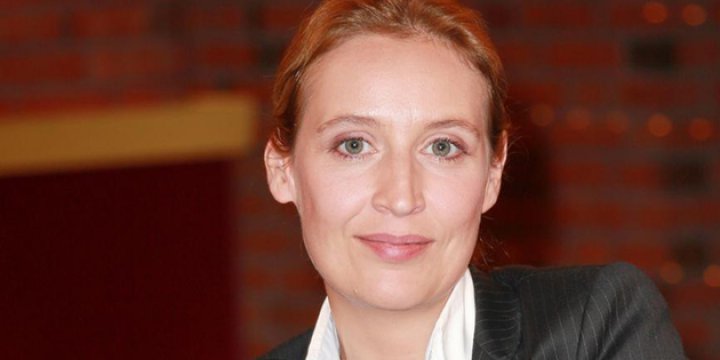 AfD: Evetçiler Türkiye'ye Dönsün