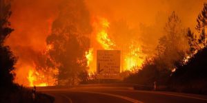 Portekiz’de Orman Yangını: 57 Ölü