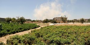 Doğu Guta, Kuşatmayı Tarımla Kırmaya Çalışıyor!