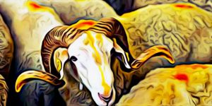 İslam Ümmetinin Kurban Bayramı Mübarek Olsun!