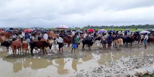 Mazlumlara Destek Olabilmek İçin Dostlara İhtiyaç Var!