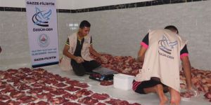 Özgür-Der Üye ve Gönüldaşlarının Kurbanları Gazze'de Kesildi