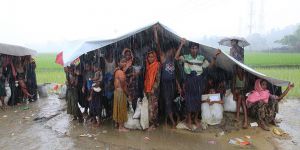 Türkiye Arakanlı Müslümanlara Sahip Çıkmalı!