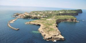 Mültecilere Çağrı: Bize Gelin!