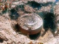 Türkiyeye Geçen Suriyeli Çocuk Mayına Bastı