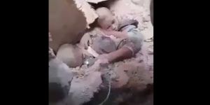 Şebbihalar, Perinçekçiler, Pelikancılar Hep Beraber Seyredin!